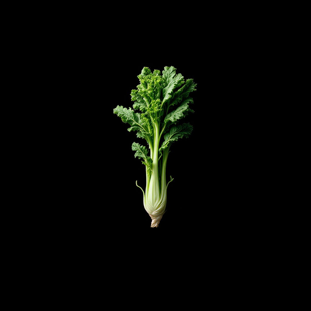 romaine