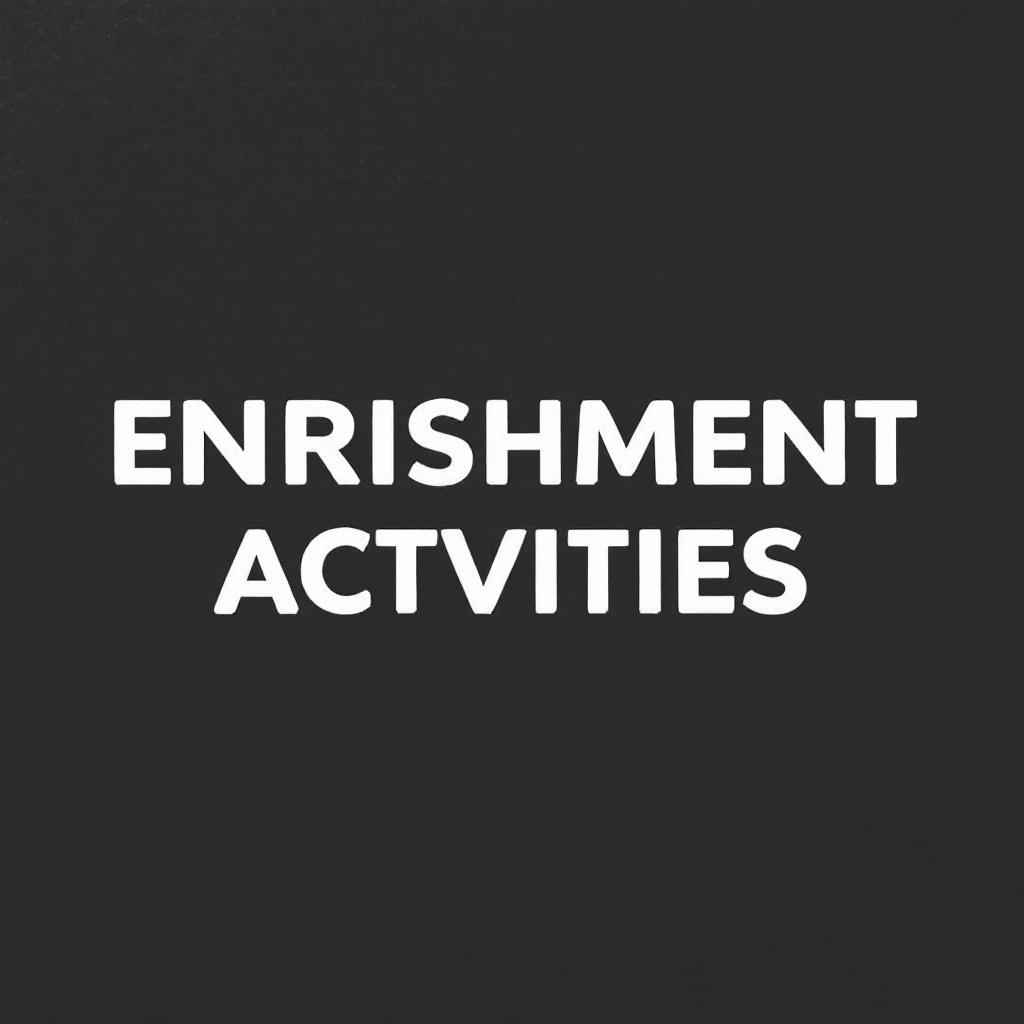 enrichment activities