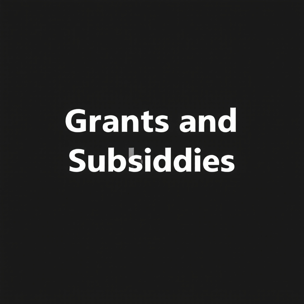 Grants and Subsidies